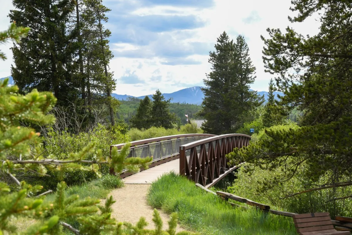 A scenic wooden bridge surrounded by lush trees with a mountain range in the background. The natural setting evokes a sense of tranquility and the opportunity for exploration, wildlife spotting, and connecting with nature.